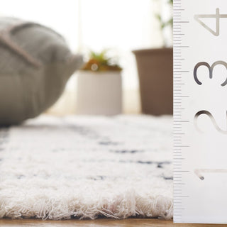 Safavieh Montauk MTK322Z Ivory / Black Area Rug Detail