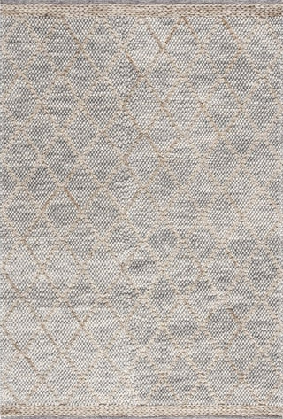 Safavieh Natura NAT223G Light Grey / Natural Area Rug main image