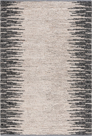 Safavieh Natural Fiber NF953G Light Grey / Black Area Rug main image