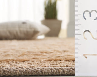 Safavieh Natural Fiber NFB378A Area Rug Detail