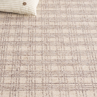 Safavieh Natural Fiber NFB425F Grey / Beige Area Rug Detail