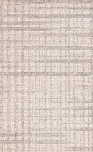 Safavieh Natural Fiber NFB425F Grey / Beige Area Rug Main