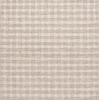 Safavieh Natural Fiber NFB425F Grey / Beige Area Rug main image