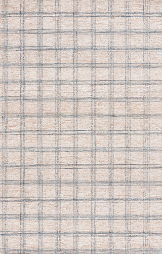 Safavieh Natural Fiber NFB426M Blue / Beige Area Rug Main