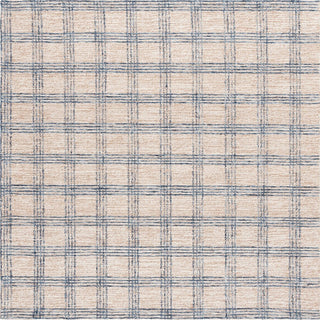 Safavieh Natural Fiber NFB426M Blue / Beige Area Rug main image