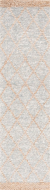 Safavieh Natural Fiber NFB475F Grey / Bleach Area Rug Runner