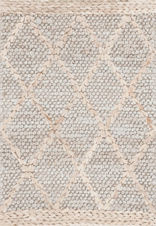 Safavieh Natural Fiber NFB475G Grey / Area Rug main image