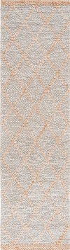 Safavieh Natural Fiber NFB475G Grey / Area Rug Runner