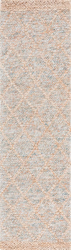 Safavieh Natural Fiber NFB475P Rust / Area Rug Runner