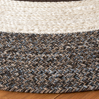 Safavieh Natural Fiber NFB527T Brown / Ivory Area Rug main image
