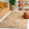 Safavieh Natural Fiber NFB826A Area Rug Room Scene Feature