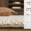 Safavieh Natural Fiber NFB876B Bleach / Ivory Area Rug Detail