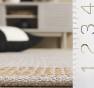 Safavieh Natural Fiber NFB975A / Ivory Area Rug Detail