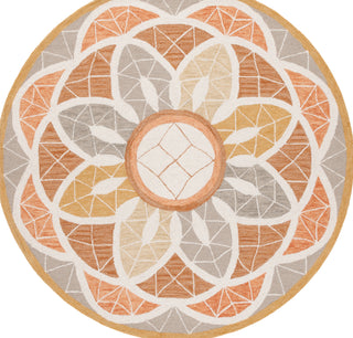 Safavieh Novelty NOV110D Grey / Gold Area Rug Round