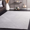 Safavieh Neptune NPE850 Light Grey / Area Rug