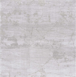 Safavieh Neptune NPE854 Light Grey / Area Rug