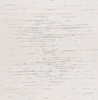 Safavieh Neptune NPE862 Ivory / Grey Area Rug