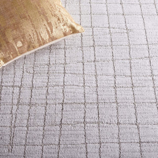 Safavieh Neptune NPE864 Light Grey / Area Rug