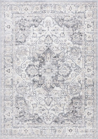 Safavieh Opal OAL470 Grey / Ivory Area Rug