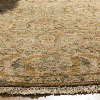 Safavieh Old World OW115 Light Green / Gold Area Rug