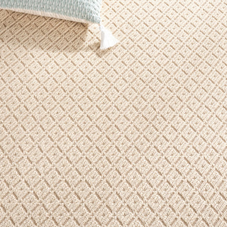 Safavieh Palm Beach PAB627A Ivory / Natural Area Rug Detail