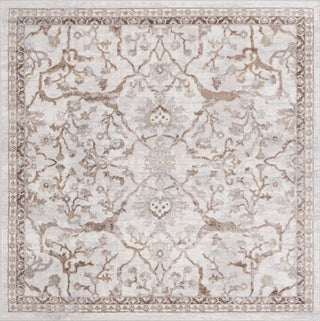 Safavieh Palma PAM336 Beige / Brown Area Rug