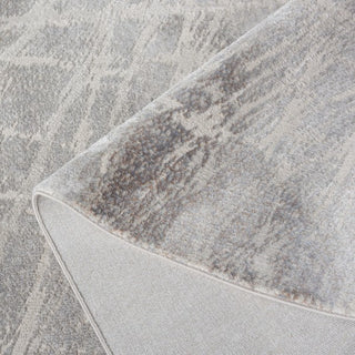 Safavieh Platinum PLA542 Grey / Light Area Rug