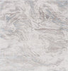 Safavieh Platinum PLA556 Grey / Ivory Beige Area Rug