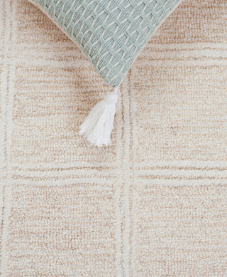 Safavieh Pine PNE103B Beige / Ivory Area Rug Detail