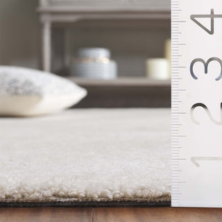 Safavieh Pine PNE108A Ivory Area Rug Detail