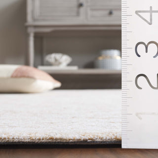 Safavieh Pine PNE111A Ivory / Orange Area Rug Detail