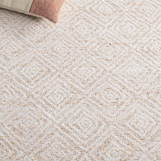 Safavieh Pine PNE111A Ivory / Orange Area Rug Detail
