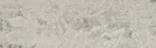 Safavieh Princeton PRN717B Silver / Beige Area Rug main image