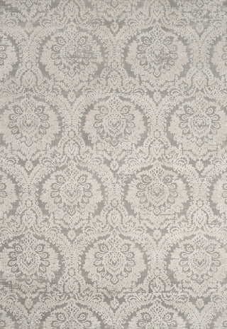 Safavieh Princeton PRN717G Grey / Beige Area Rug main image