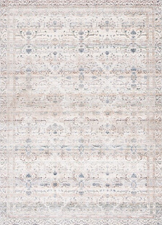 Safavieh Princeton PRN908A Ivory / Blue Area Rug main image