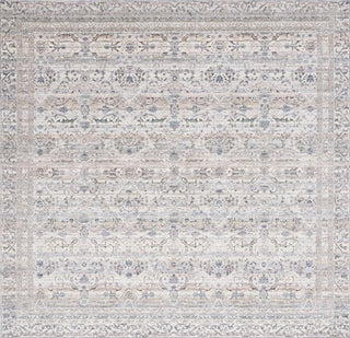 Safavieh Princeton PRN908A Ivory / Blue Area Rug Square