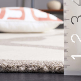 Safavieh Rodeo Drive RD404F Ivory / Grey Area Rug Detail