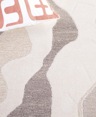 Safavieh Rodeo Drive RD404F Ivory / Grey Area Rug Detail