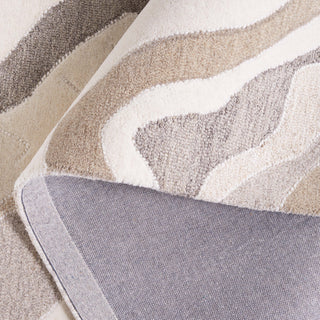 Safavieh Rodeo Drive RD404F Ivory / Grey Area Rug Fold