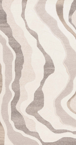 Safavieh Rodeo Drive RD404F Ivory / Grey Area Rug main image