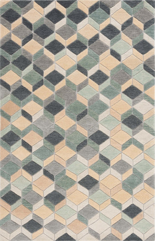 Safavieh Rodeo Drive RD452B Beige / Grey Area Rug main image