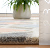 Safavieh Rodeo Drive RD453F Grey / Beige Area Rug Detail