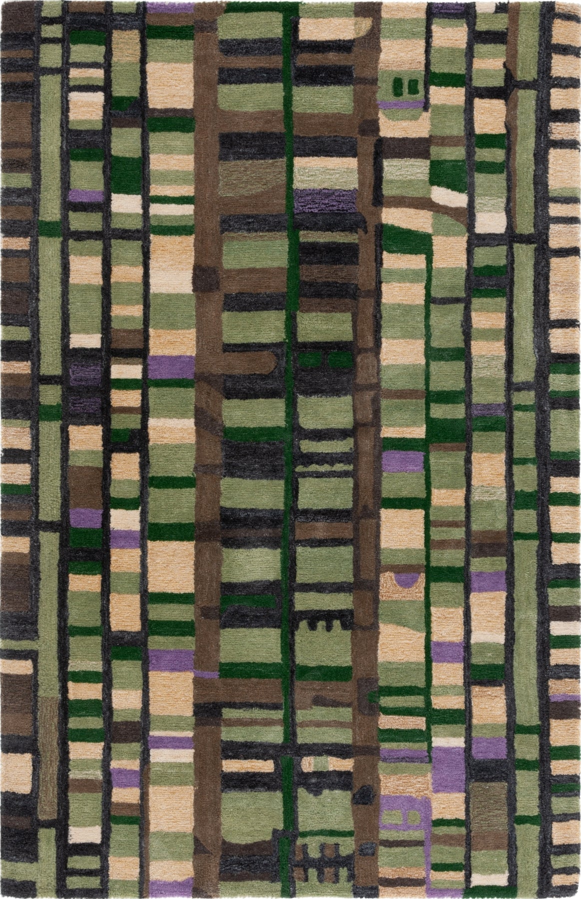 Safavieh Rodeo Drive RD976Y Green / Purple Area Rug main image