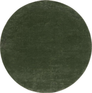 Safavieh Revive REV102 Green Area Rug