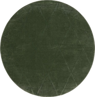 Safavieh Revive REV104 Green Area Rug