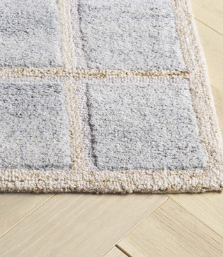 Safavieh Renewal RNW102B Beige / Grey Area Rug Detail