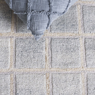 Safavieh Renewal RNW102B Beige / Grey Area Rug Detail