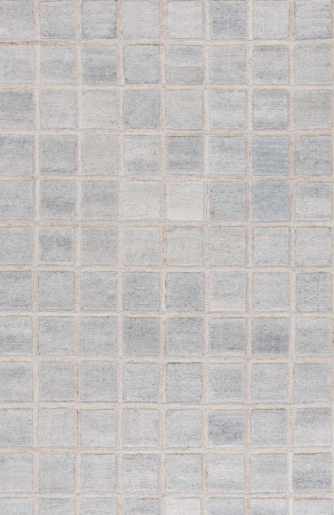 Safavieh Renewal RNW102B Beige / Grey Area Rug main image