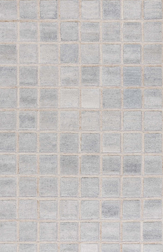 Safavieh Renewal RNW102B Beige / Grey Area Rug main image