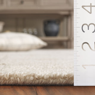 Safavieh Renewal RNW201B Beige Area Rug Detail